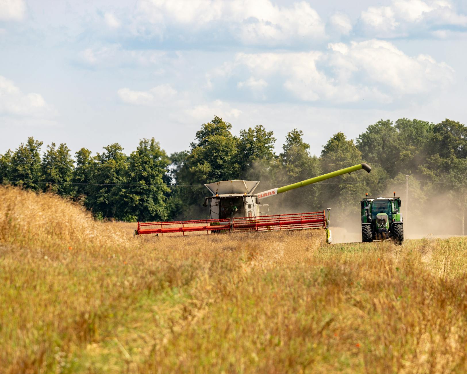 Kombajn i traktor zbierające zboże na słonecznym polu w Niemczech
