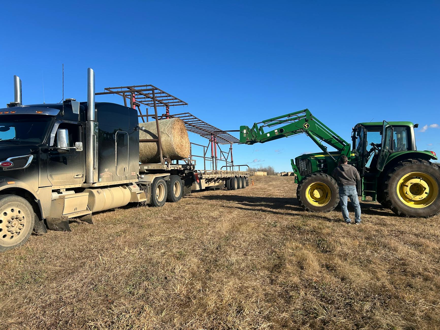 Ciągnik ładuje bele siana na ciężarówkę na polu pod błękitnym niebem