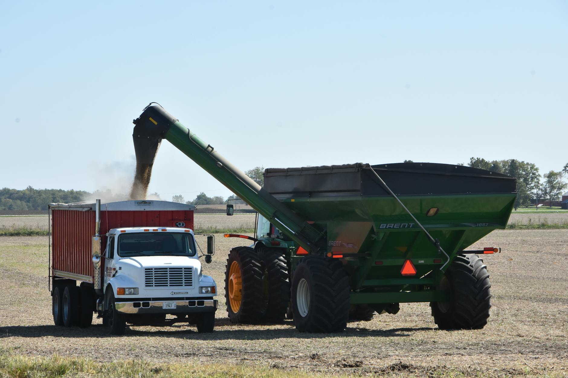 Przesyp ziarna z przyczepy do ciężarówki na polu podczas żniw