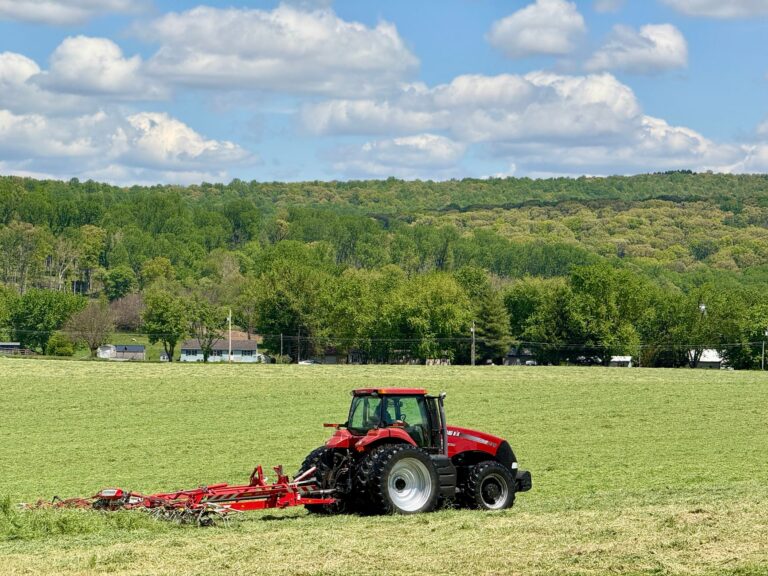 Czerwony traktor pracujący na zielonym polu przy lesie
